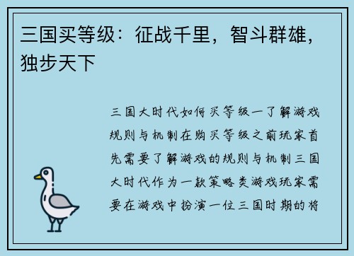 三国买等级：征战千里，智斗群雄，独步天下